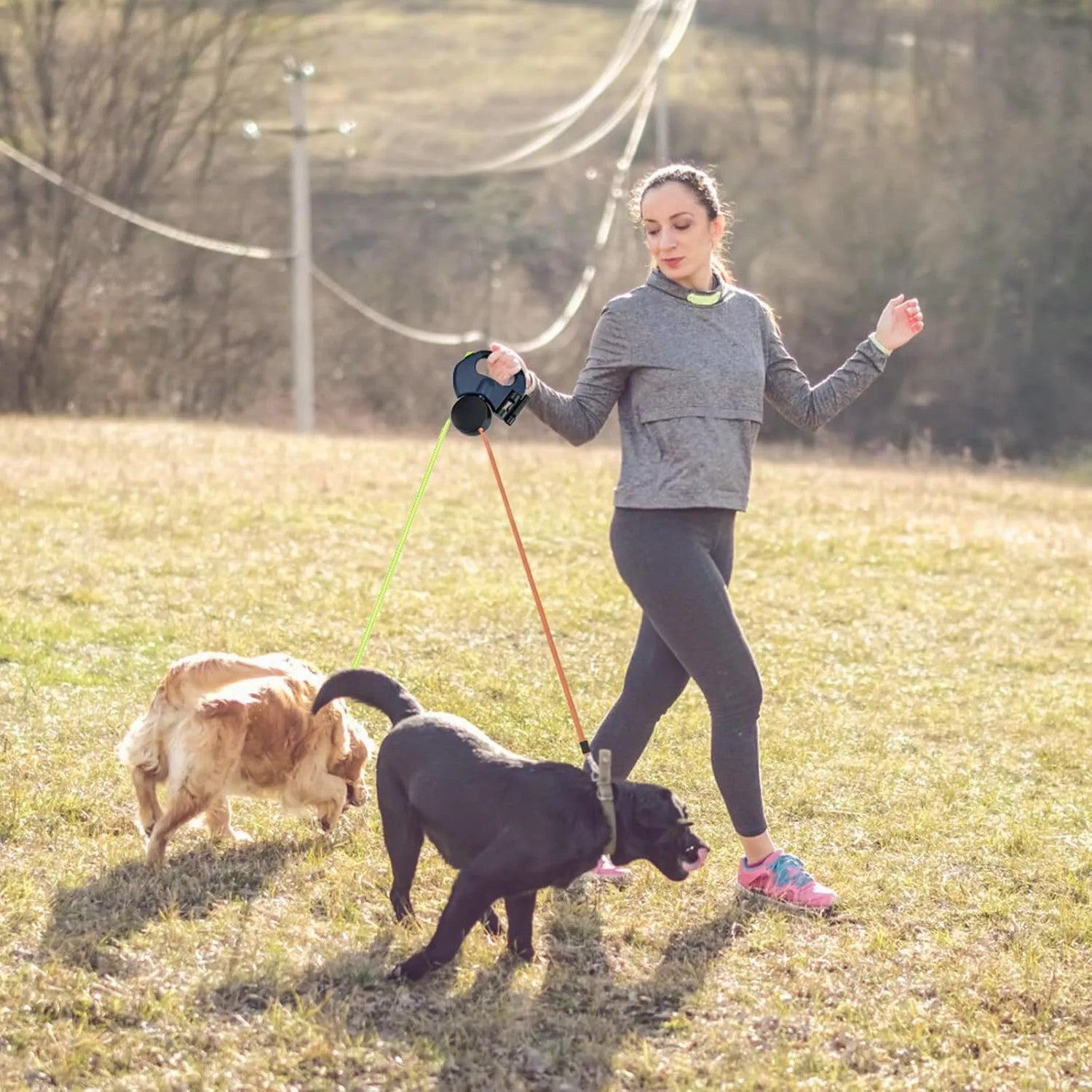 Retractable Dual Dog Leash – Tangle-Free Control for 2 Dogs