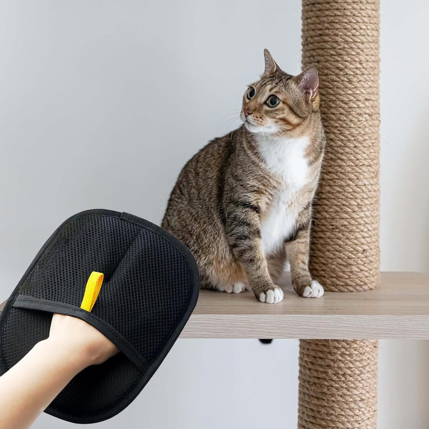FurMagnet – Wearable Hair Remover for Cats & Dogs